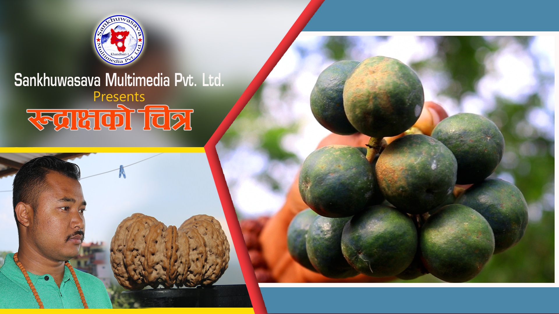 रुद्राक्षको चित्र