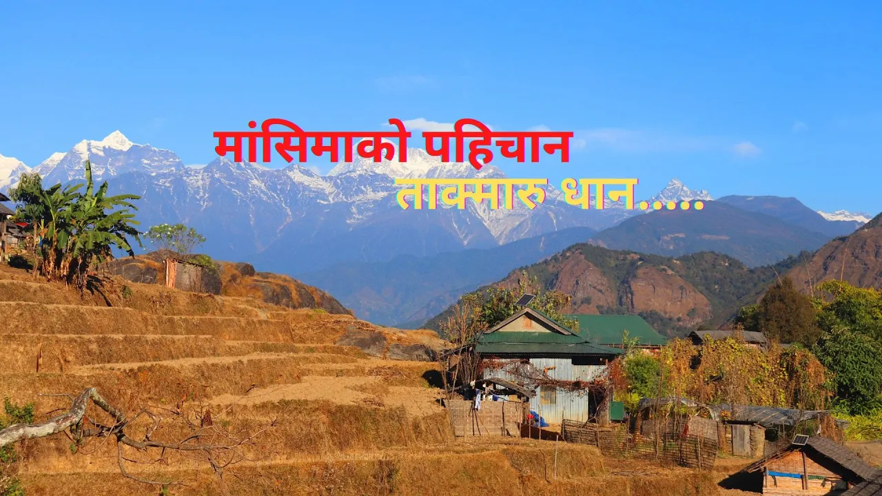 मांसिमा यात्रा (Documentary-02)