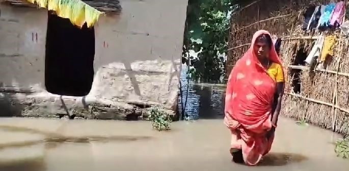सप्तकोशीको बाढीले सप्तरीका झण्डै ५०० घर डुबानमा