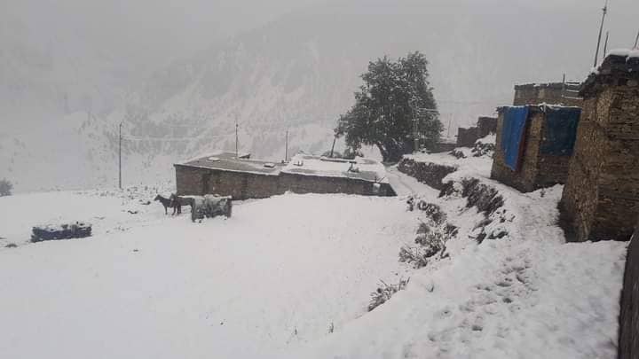शनिबारसम्म वर्षा र हिमपातको सम्भावना : धान नकाट्न अनि लामो दूरीको यात्रा नगर्न सल्लाह